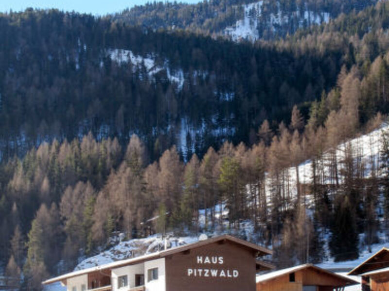 Pitzwald (SOE429)