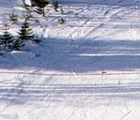 Flims Laax Falera - zdjęcie poglądowe