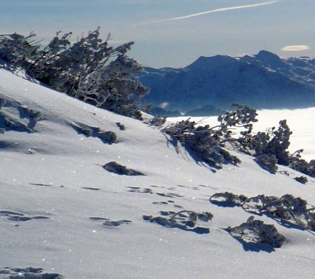 Sedrun - Andermatt - zdjęcie poglądowe