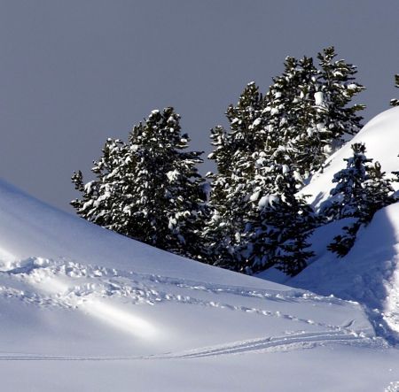 Sestriere / Via Lattea - zdjęcie poglądowe