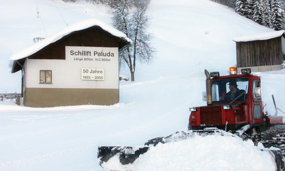 Náhled skimapy areálu Dalaas / Paluda