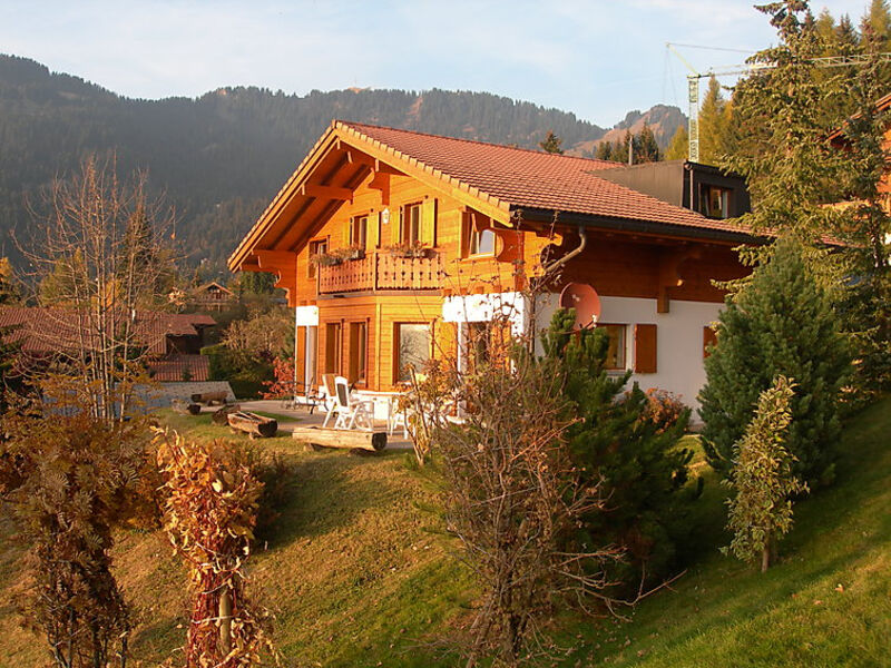 Chalet Petit Pont
