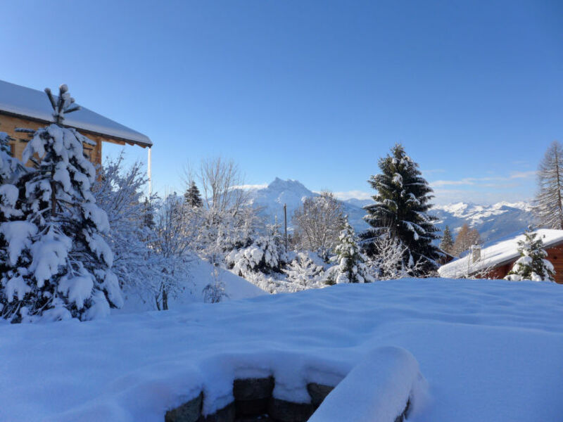 Chalet Petit Pont
