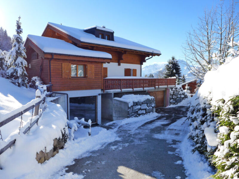 Chalet Petit Pont