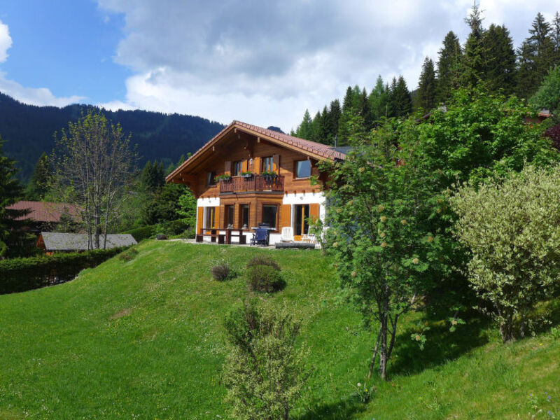Chalet Petit Pont
