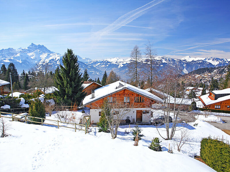 Chalet Petit Pont
