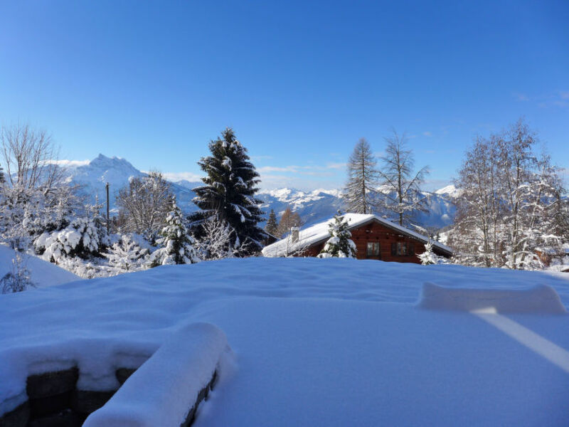 Chalet Petit Pont