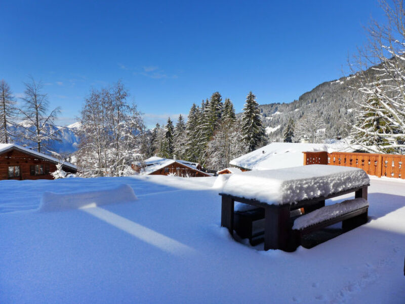 Chalet Petit Pont