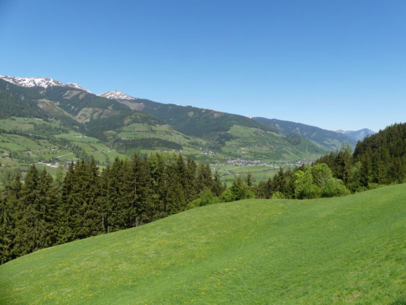 Umbichl
