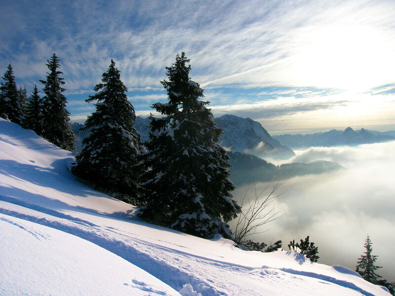 Alpenpark Resort