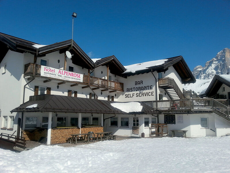 Alpenrose