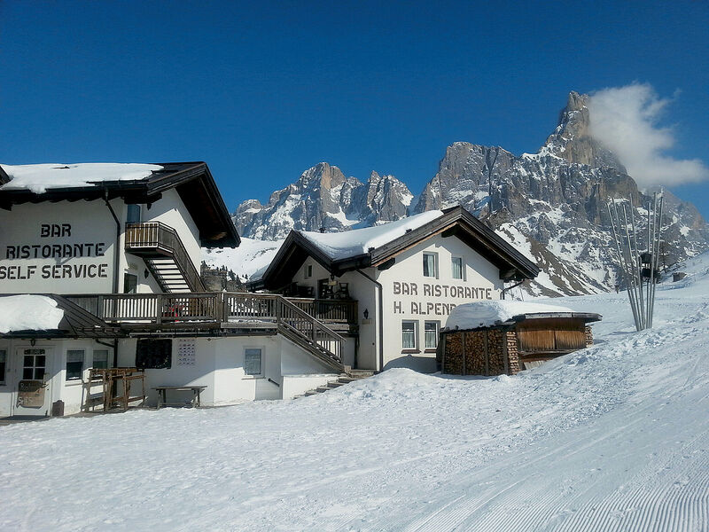 Alpenrose