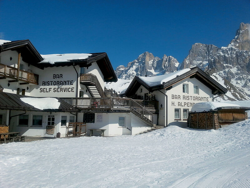 Alpenrose