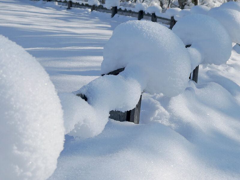 Alpensporthotel Seimler