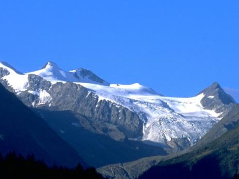 Alpenwellneshotel Gasteigerhof