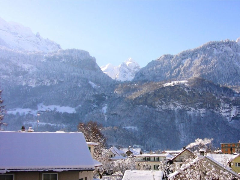 Alpin Sherpa