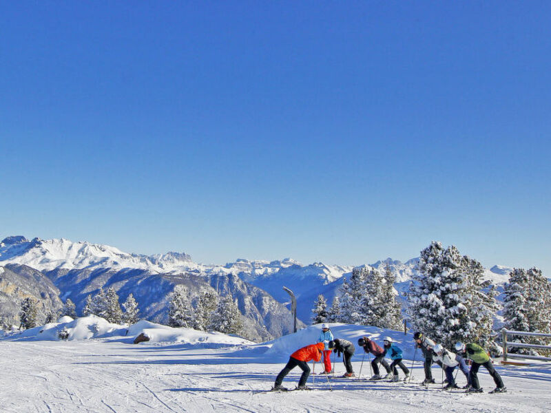 Aparthotel Des Alpes (CVL200)