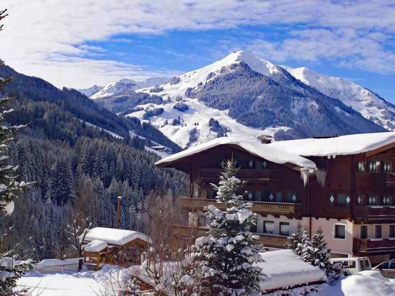 Ferienanlage Hotel Altachhof und Hotel Annemarie