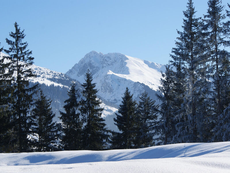 Ferienhotel Alpenhof