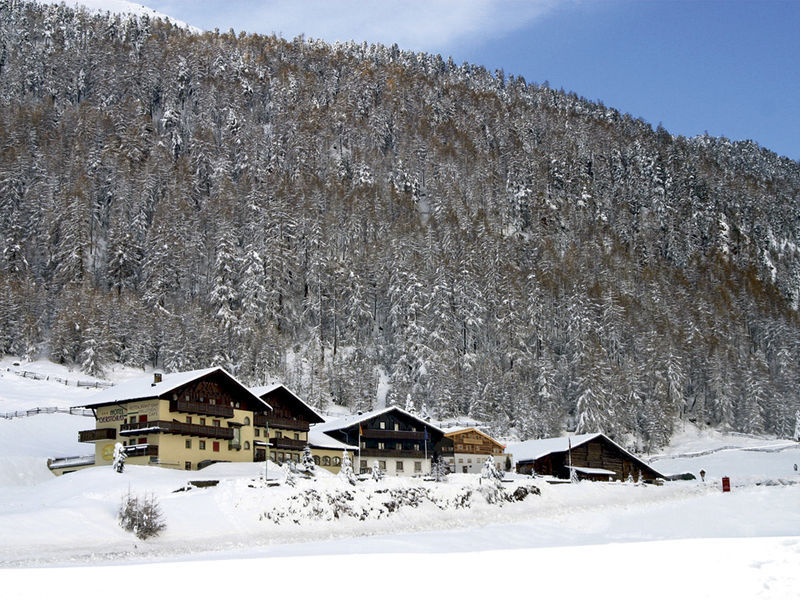 Gerstgras