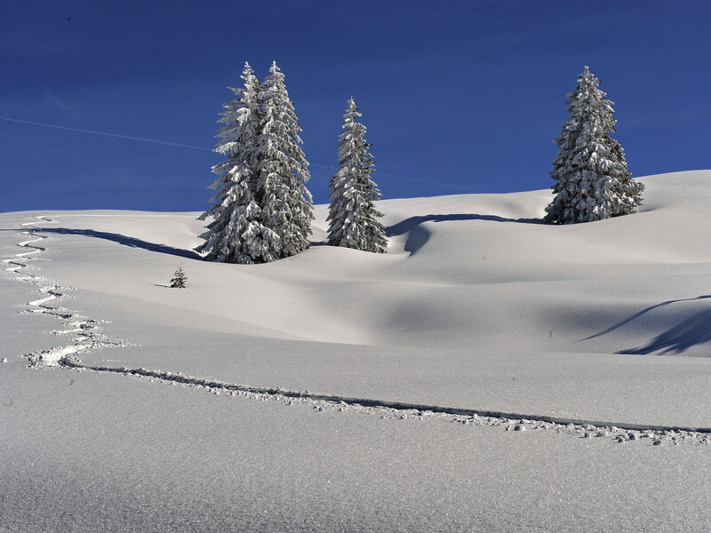 Golf & Alpin Wellness Resort Hotel Ludwig Royal
