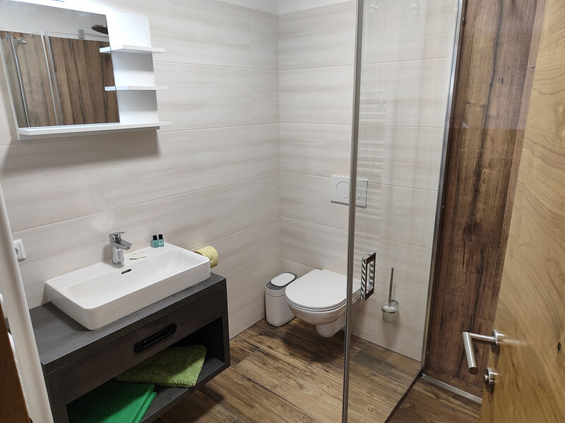 Hotel Bad Goisern se skipasem