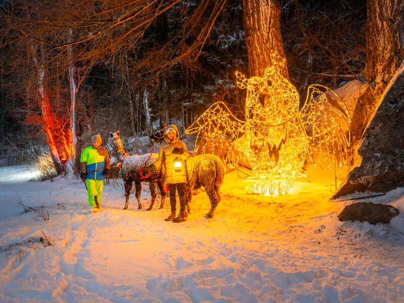 Mallnitz SKI OPENING Advent