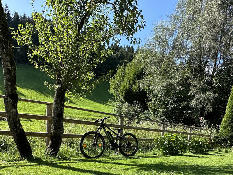 KOSIS Sports Lifestyle