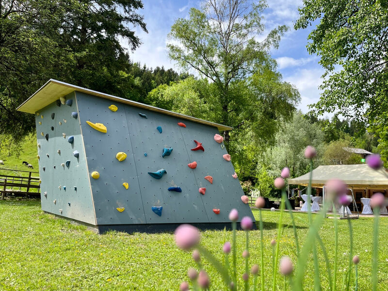 KOSIS Sports Lifestyle