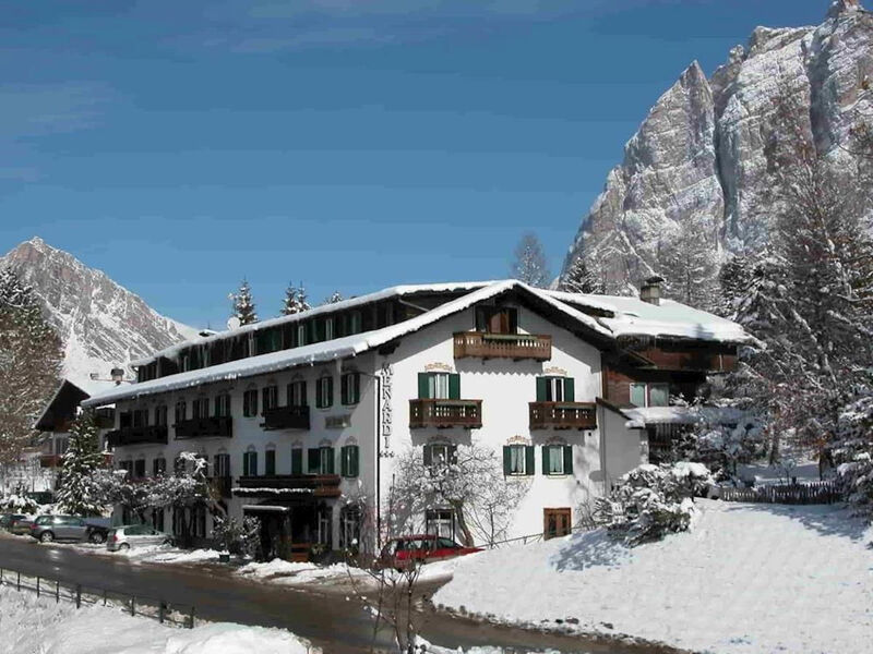 Menardi