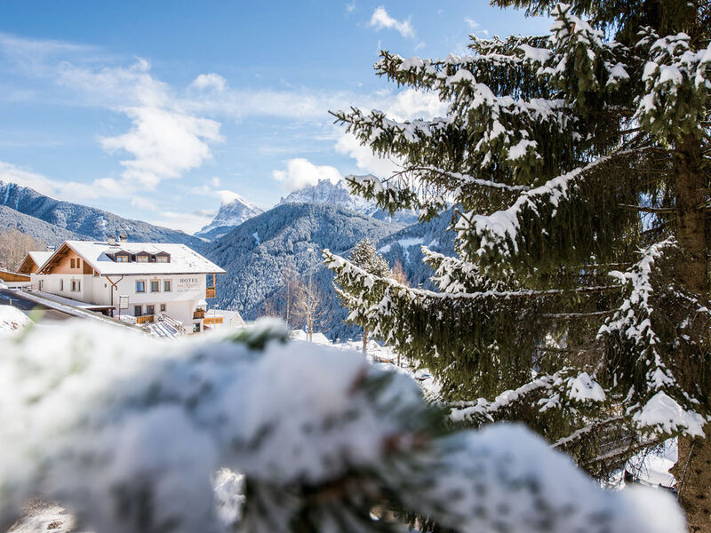Mountain Residence Alpenhof