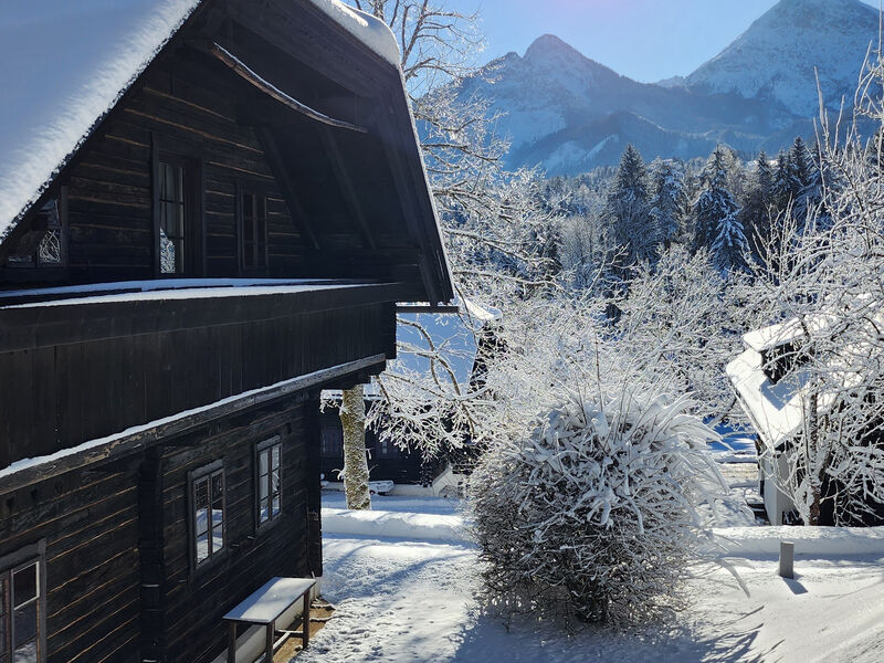 Naturel Hoteldorf Schönleitn