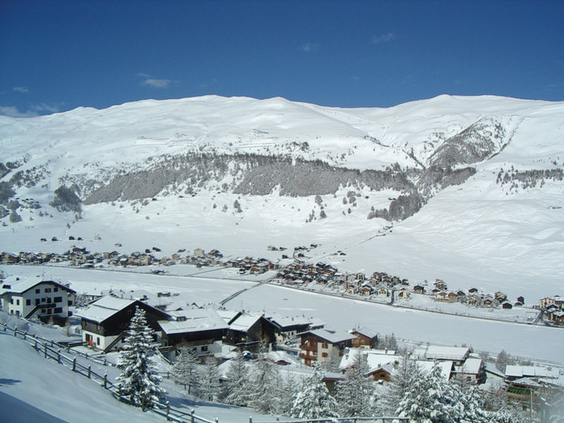 Park Chalet Village