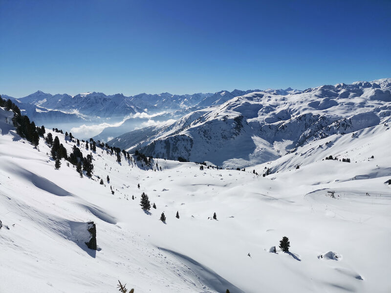 SCOL Zillertal