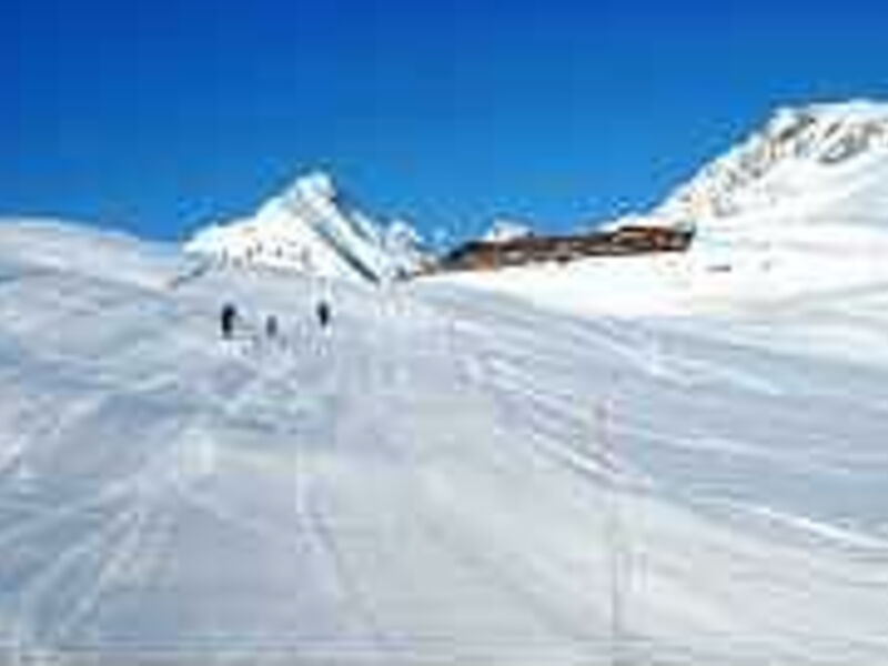 Snow u. Mountain Resort Schatzalp