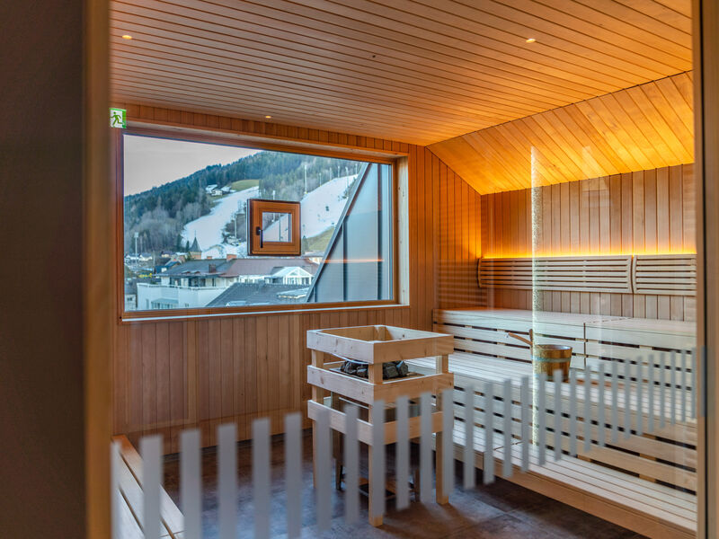 Stadtvilla Schladming Hotel Garni