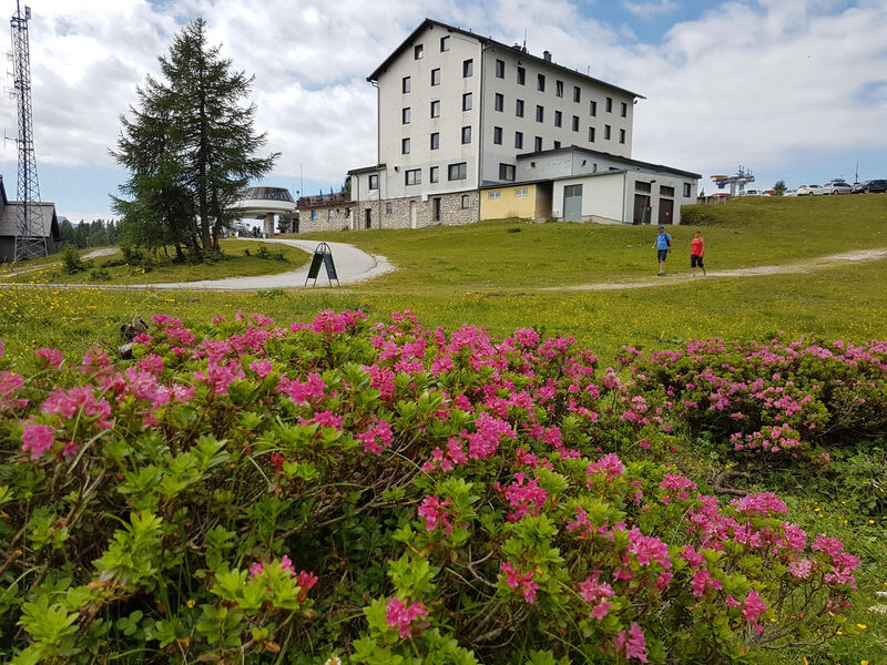 Tauplitzalm