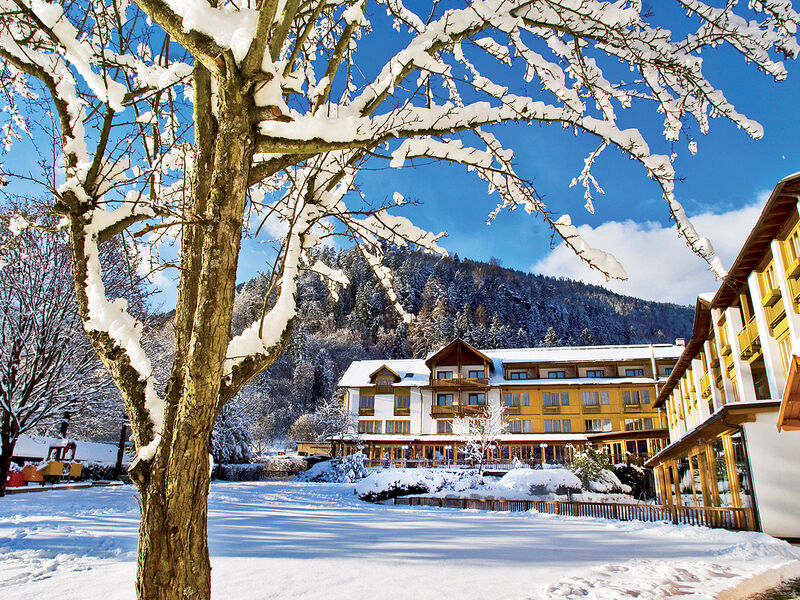 Urbani Ossiacher See