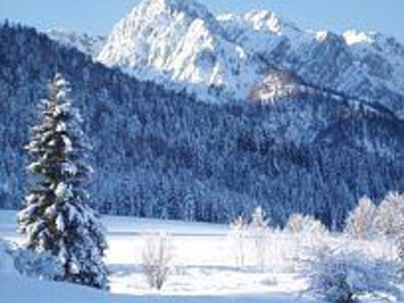 Walchsee