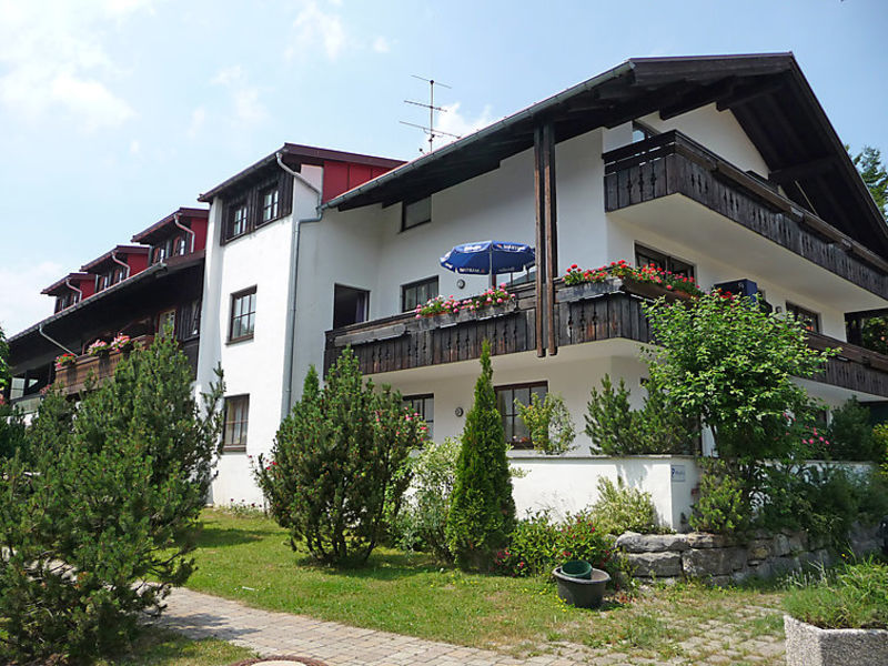 Almblume