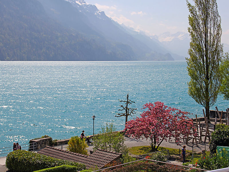 Alpenblick