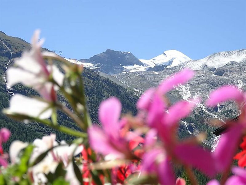 Alpenfirn