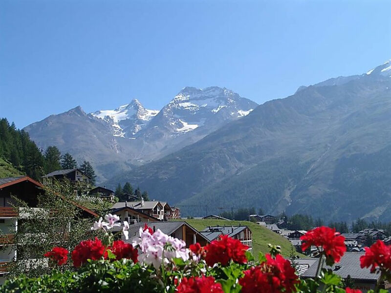 Alpenfirn
