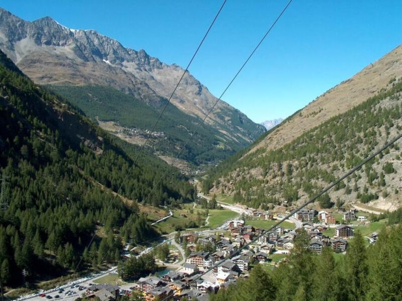 Alpenrose