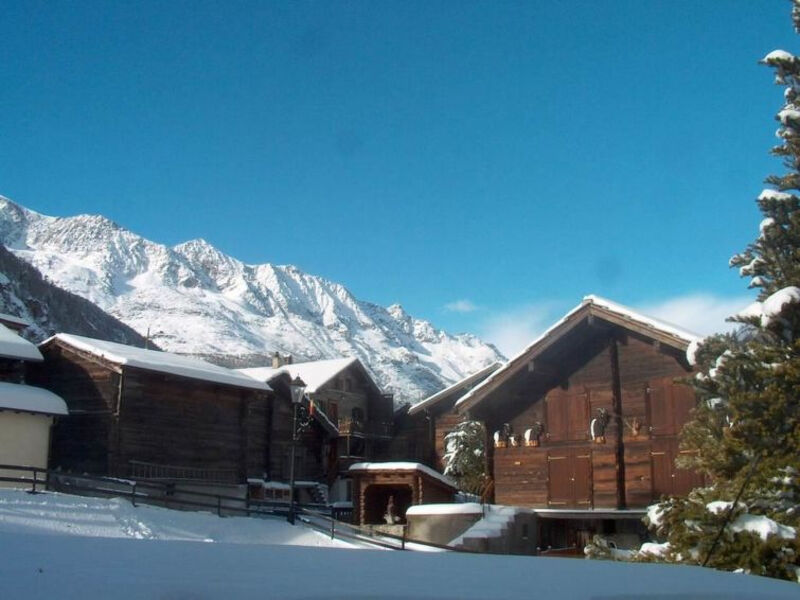 Alpenrose