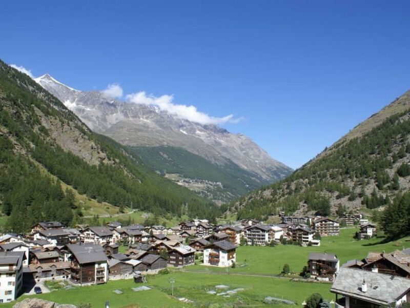 Alpenrose