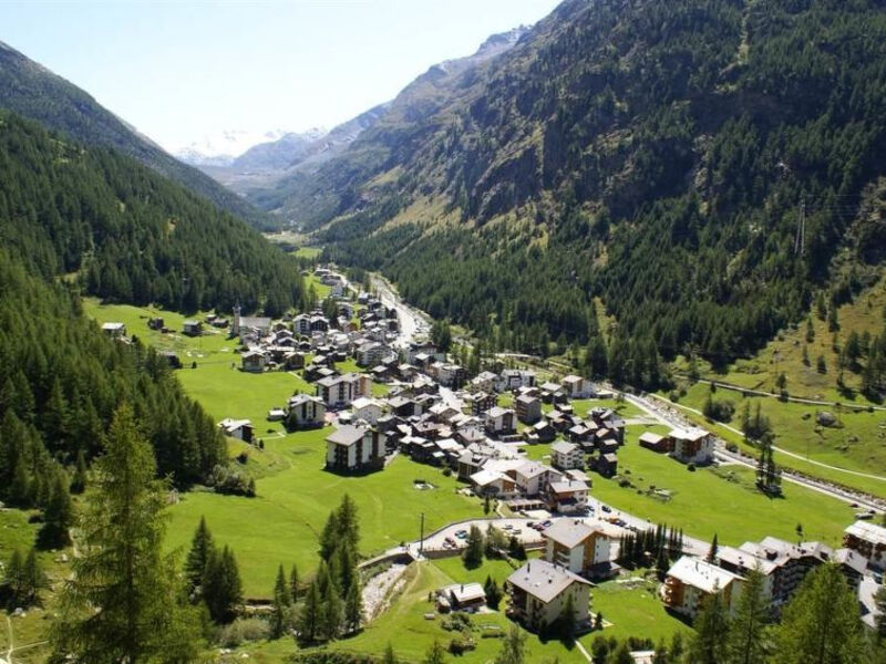 Alpenrose
