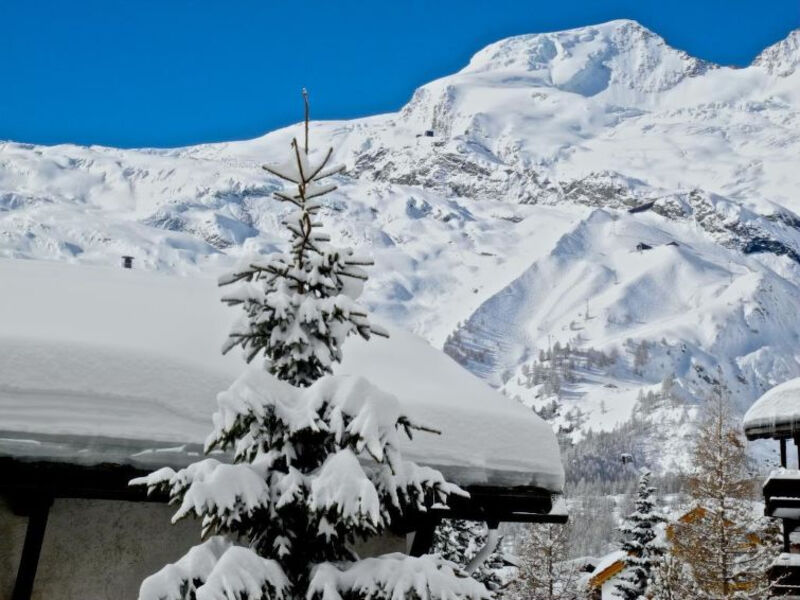 Alpenruh (007102)