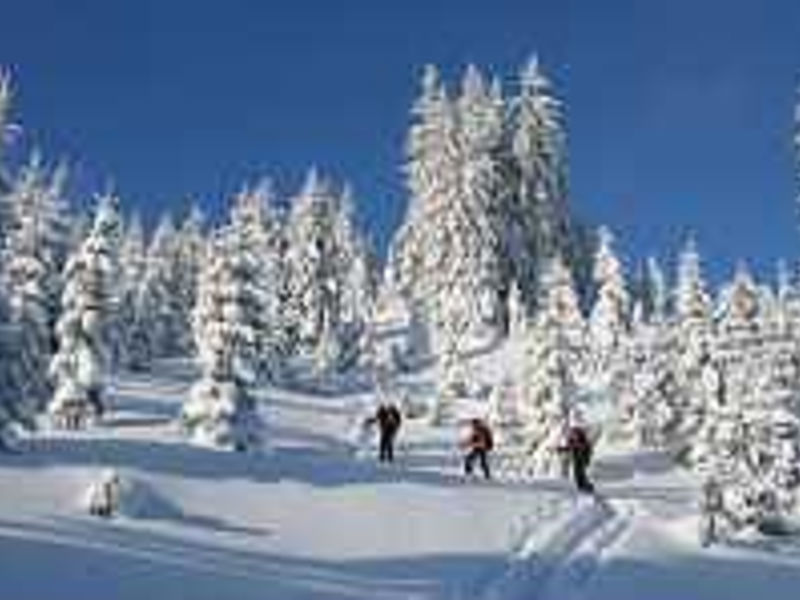 Alpin Resort Erzberg