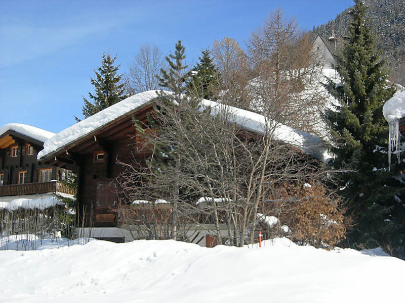 Am Biel